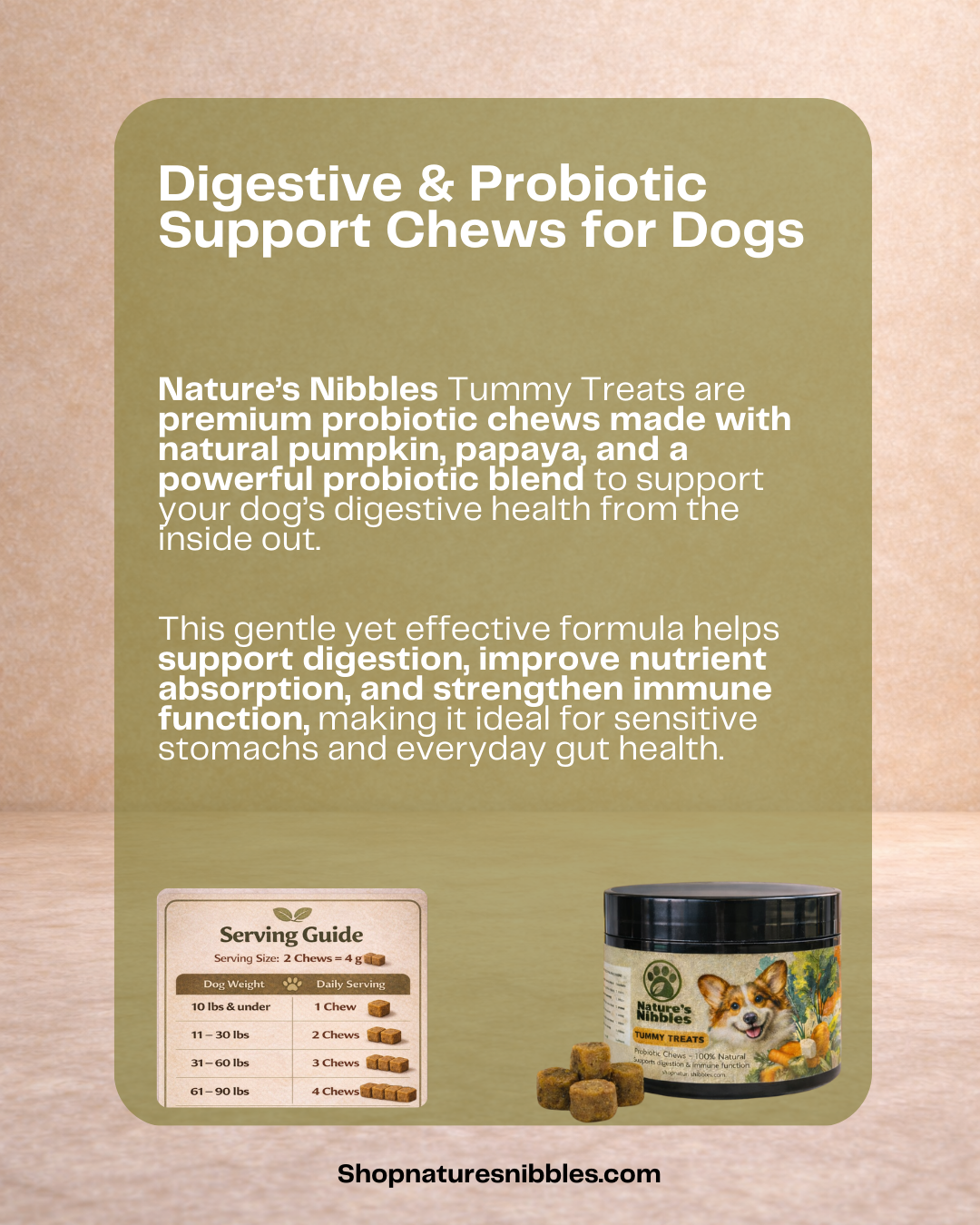 Tummy Treats – Digestive Health