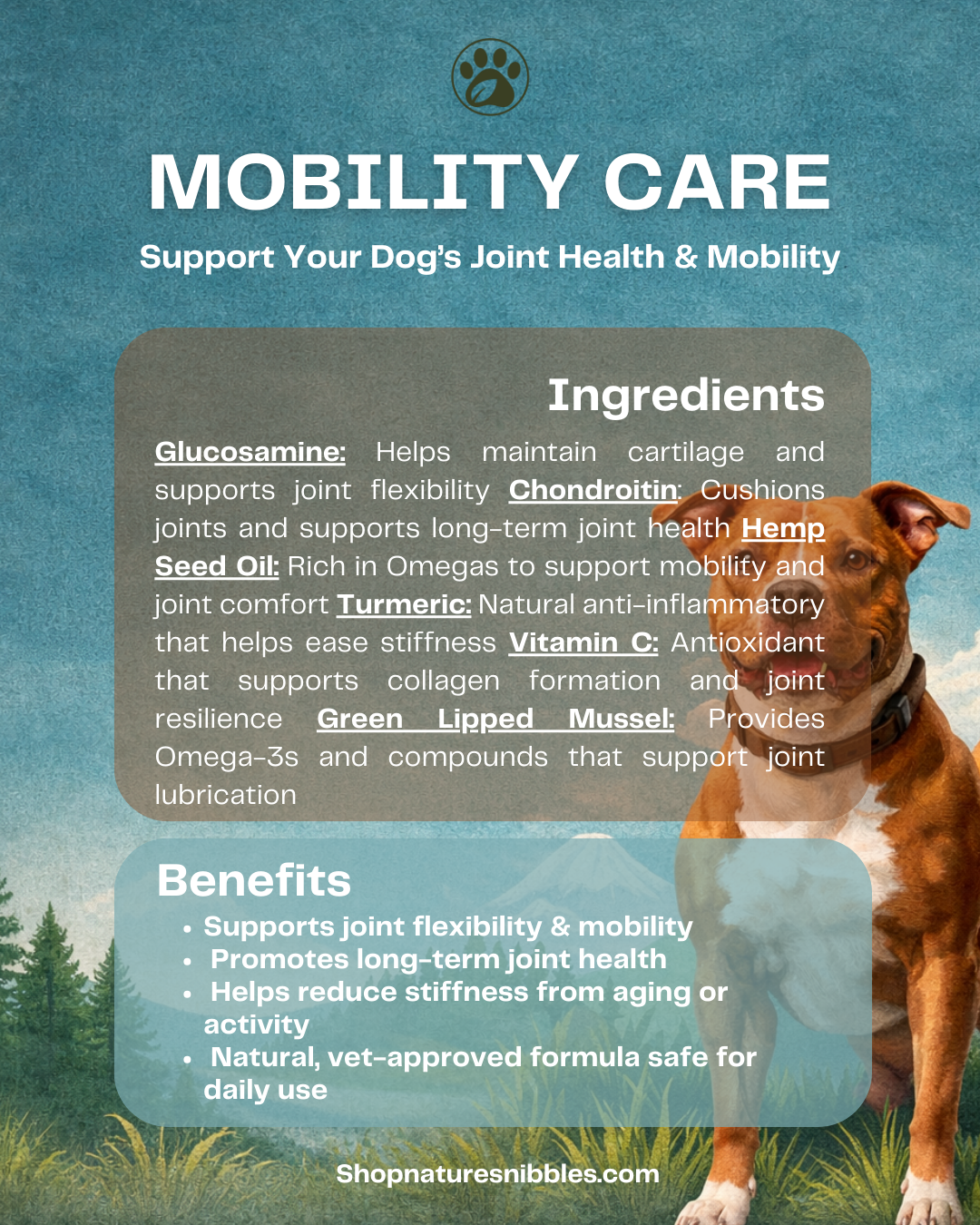 Complete Care Bundle – 3-in-1 Dog Wellness Pack