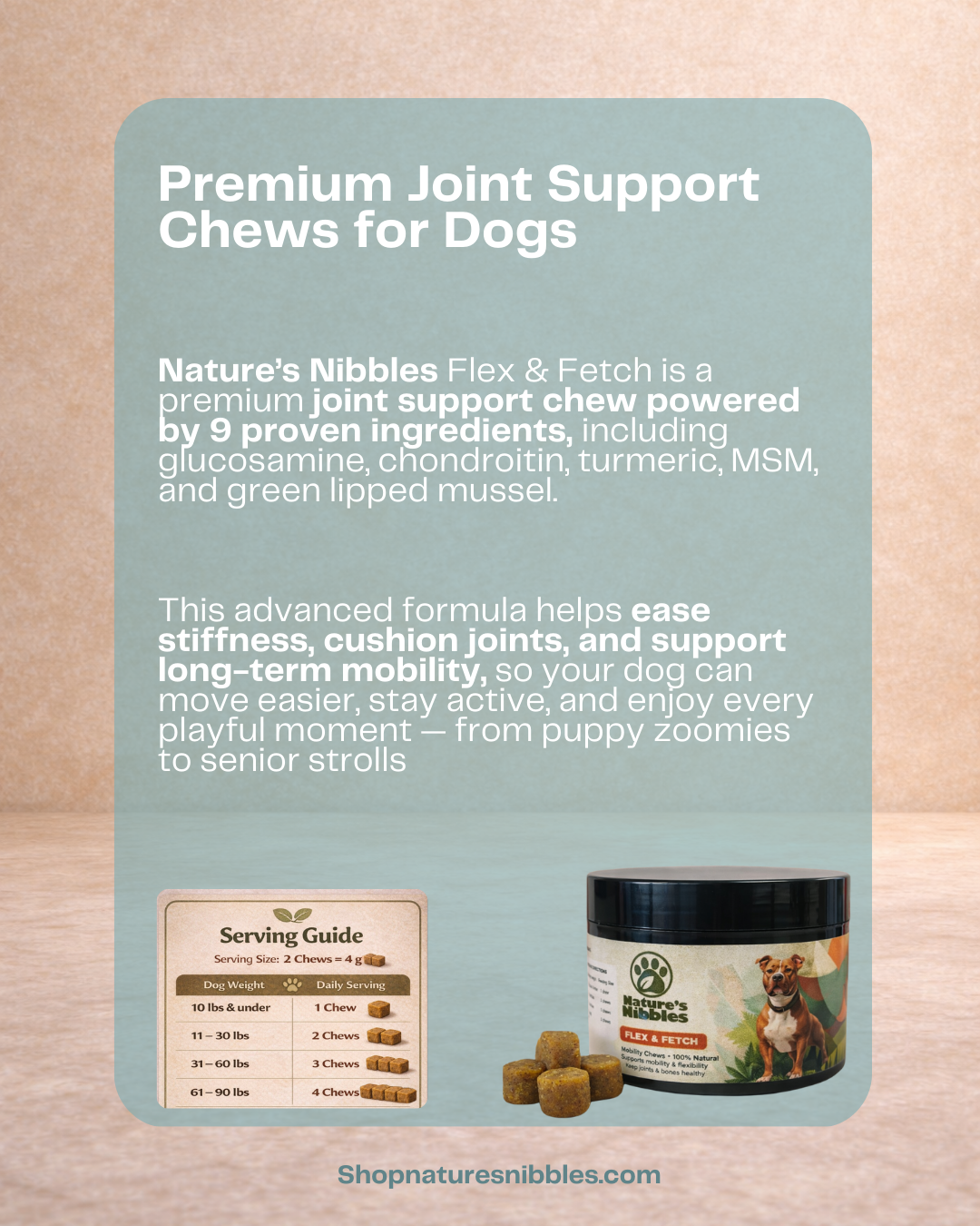 Flex & Fetch – Joint & Mobility Support