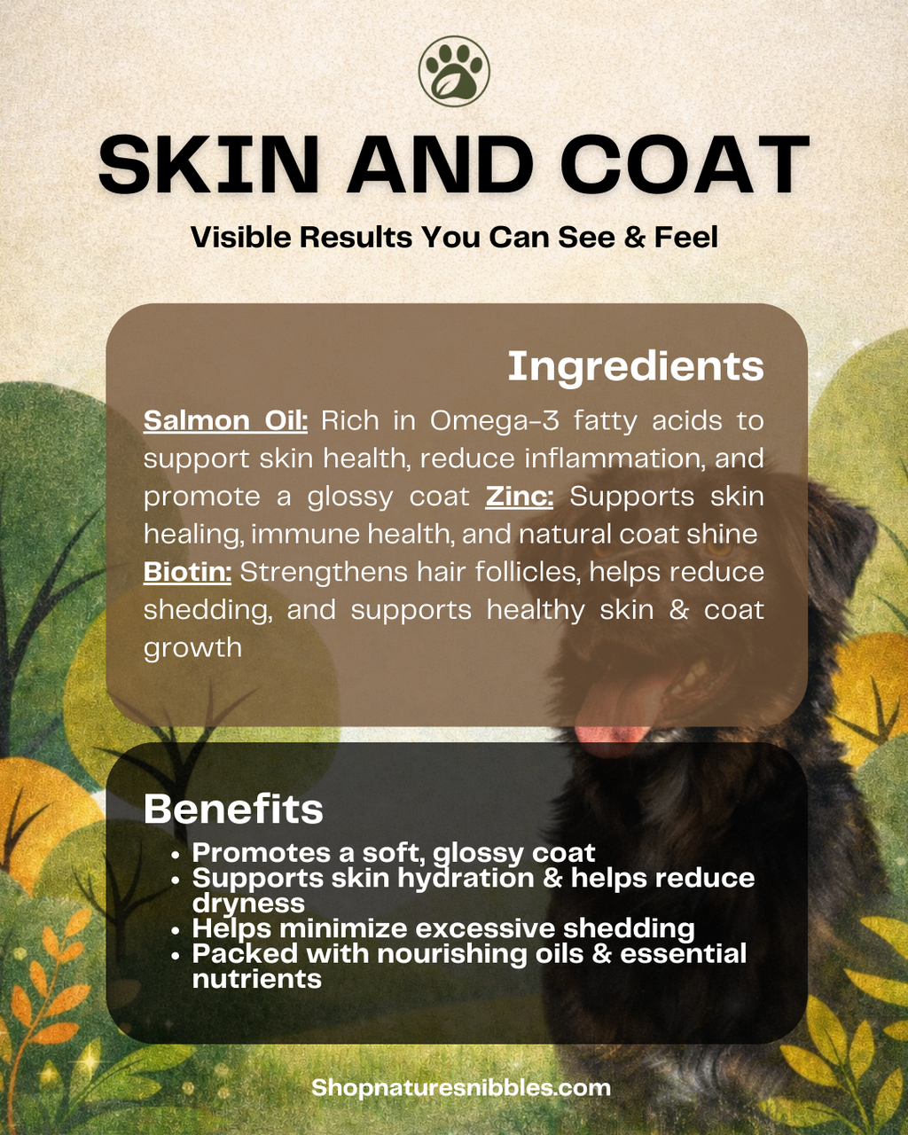 Complete Care Bundle – 3-in-1 Dog Wellness Pack