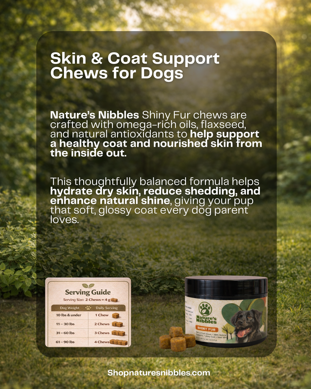 Shiny Fur – Skin & Coat Health