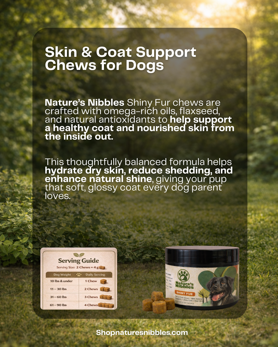 Shiny Fur – Skin & Coat Health